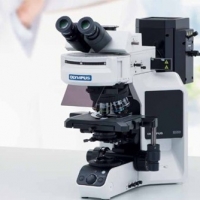 显微镜 BX53