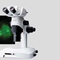 显微镜 szx16_10